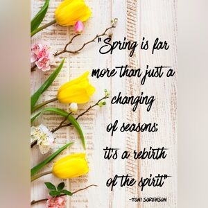 Like a quiet reminder that long after winter life insists on blooming again💕🙏